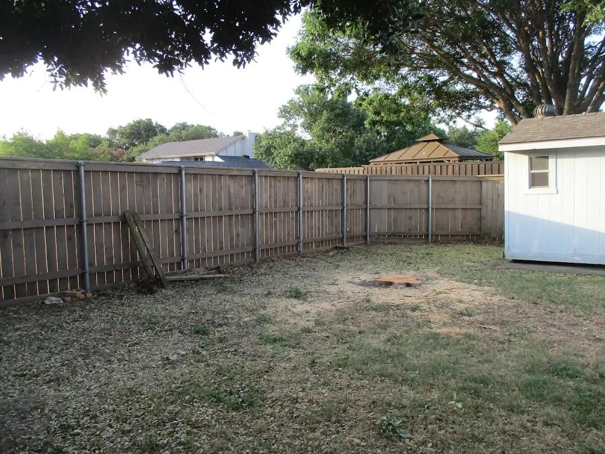 Cleared yard after professional tree removal in Lagunitas