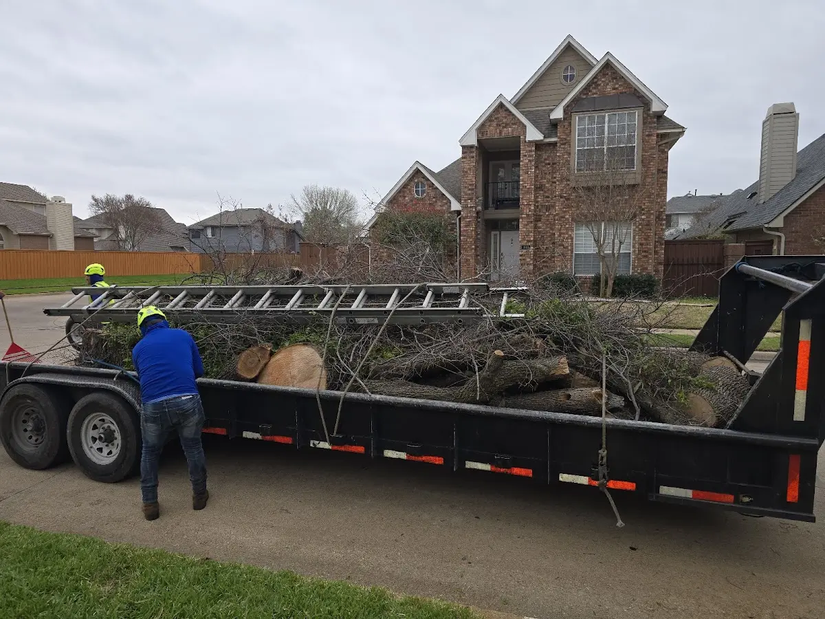 Expert Lot Clearing with proper safety equipment in Lagunitas